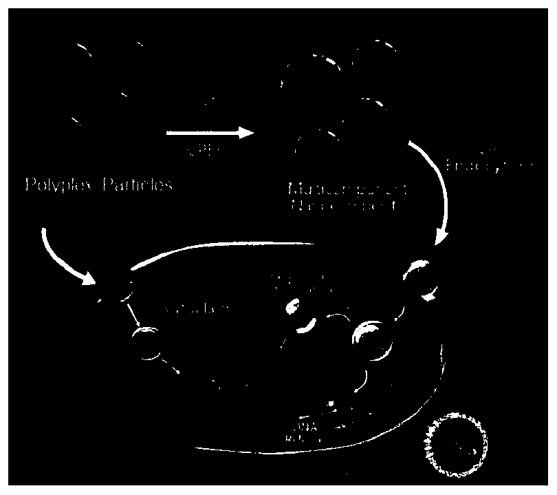 A kind of nanocomposite and its preparation method and application