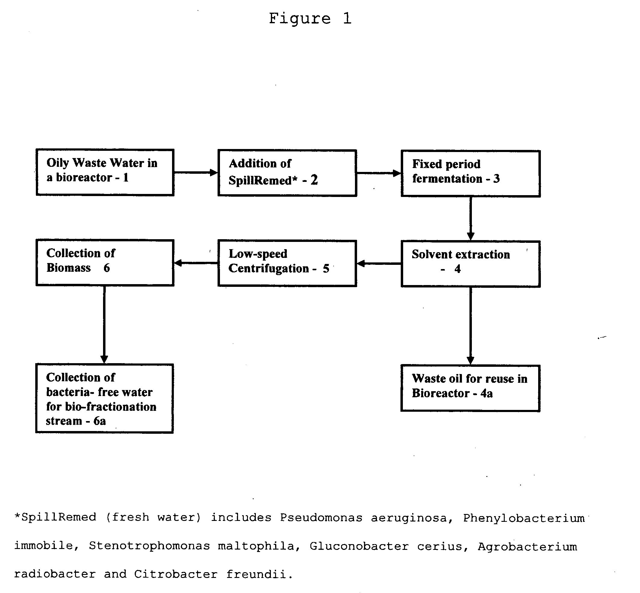 Production of biomass and single cell protein from industrial waste oils, oily sludge from ships and other sources of oily wastes