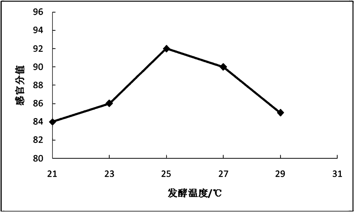 Instant fermented quinoa porridge and preparation method thereof