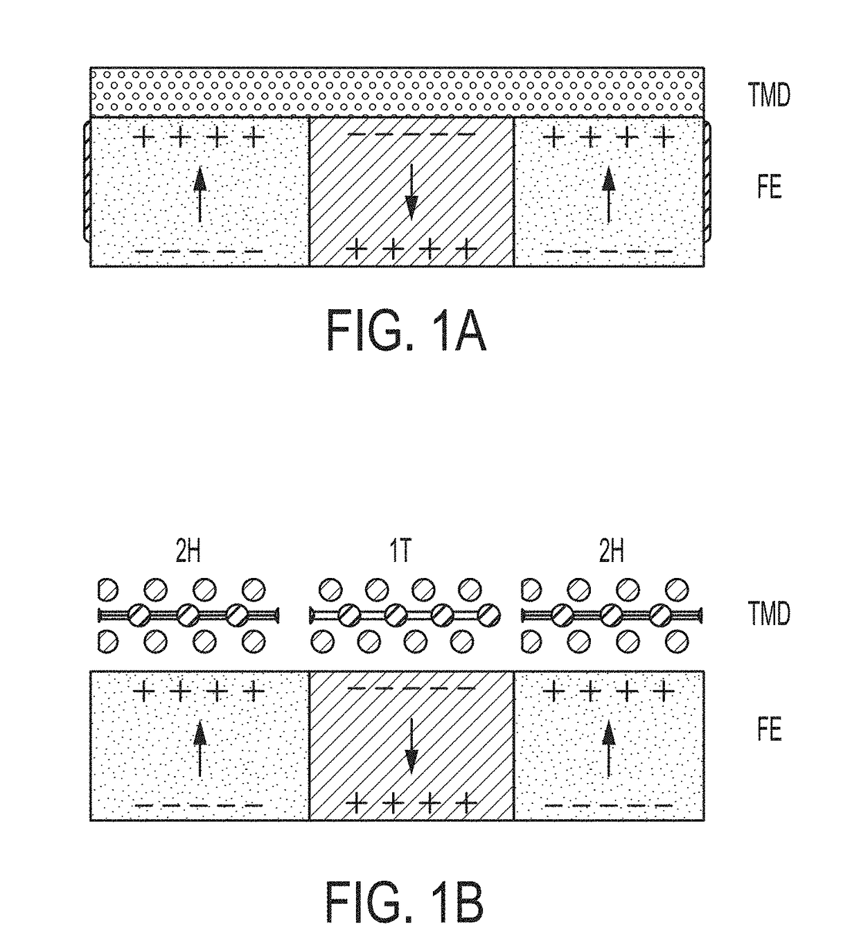 Controlling structural phase transitions and properties of two-dimensional materials by integrating with multiferroic layers