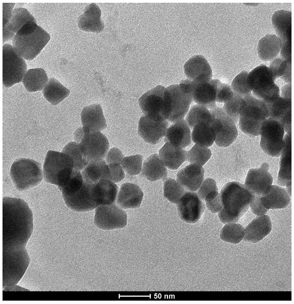 Polyethylene glycol modified Bi nano photothermal conversion material as well as preparation method and application thereof