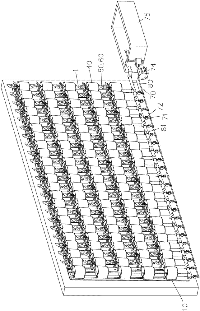 A building planting wall structure