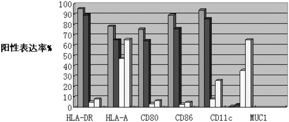 Exocrine body as well as preparation method and application thereof as tumor vaccine