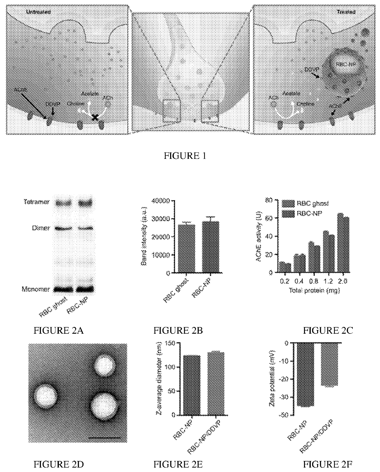 Detoxification using nanoparticles