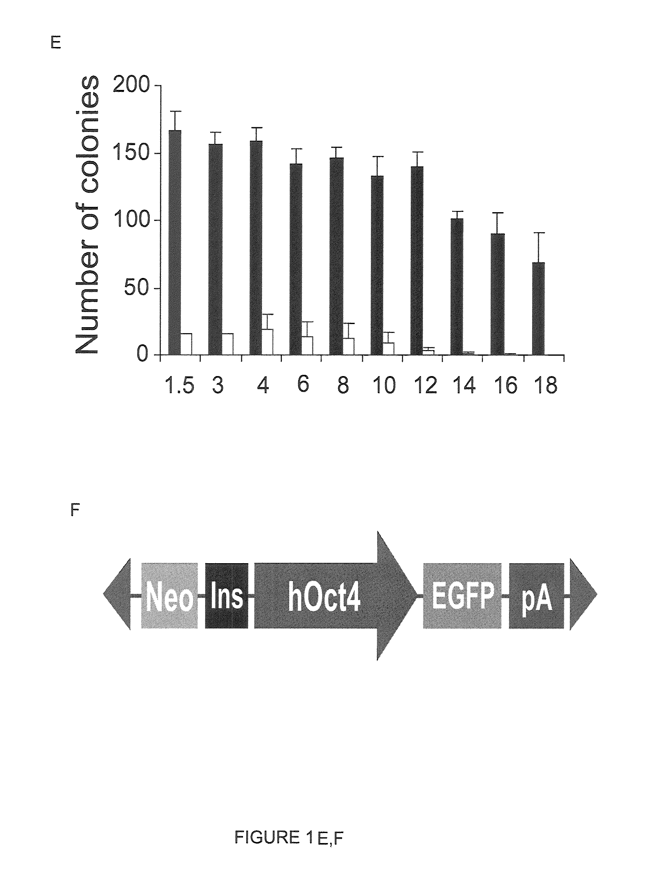 Enhanced PiggyBac transposon and methods for transposon mutagenesis