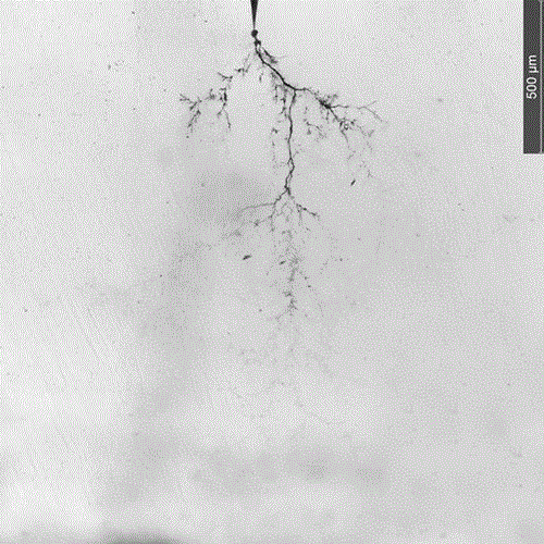 Epoxy resin based micron-nano composite material and preparation method thereof