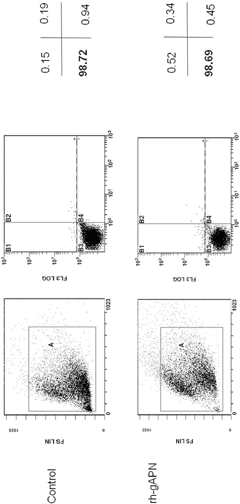 A preparation method of bone graft material coated with adiponectin