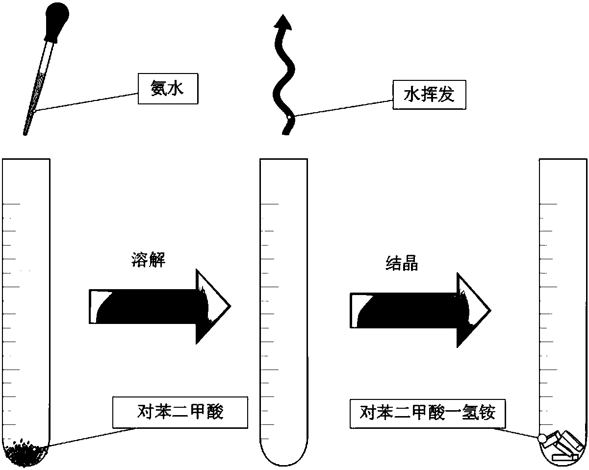 Preparation and application method of luminescent color adjustable long afterglow material based on organic salt ionic crystals