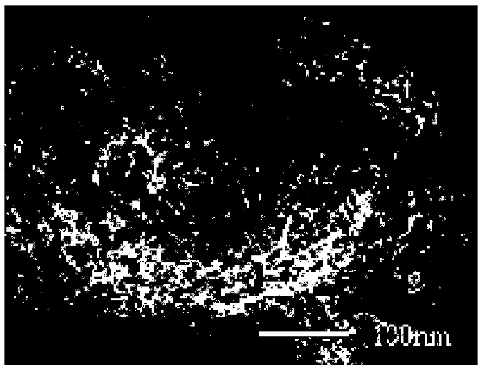 Biological macromolecule nanosphere containing NADH and preparation method and application thereof