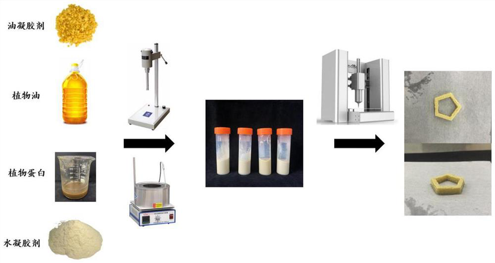 Double gel capable of printing protein network as well as preparation method and application of double gel