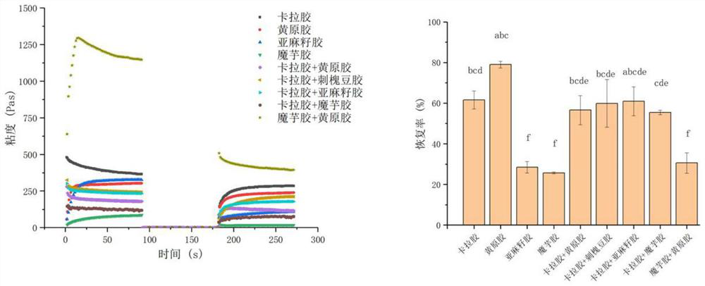 Double gel capable of printing protein network as well as preparation method and application of double gel