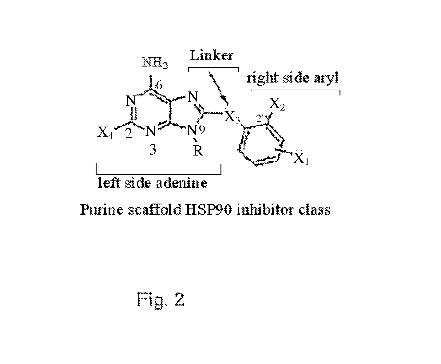 Small-molecule Hsp90 Inhibitors