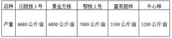 Method of cultivating persimmon fruits in conserved stony mountain lands