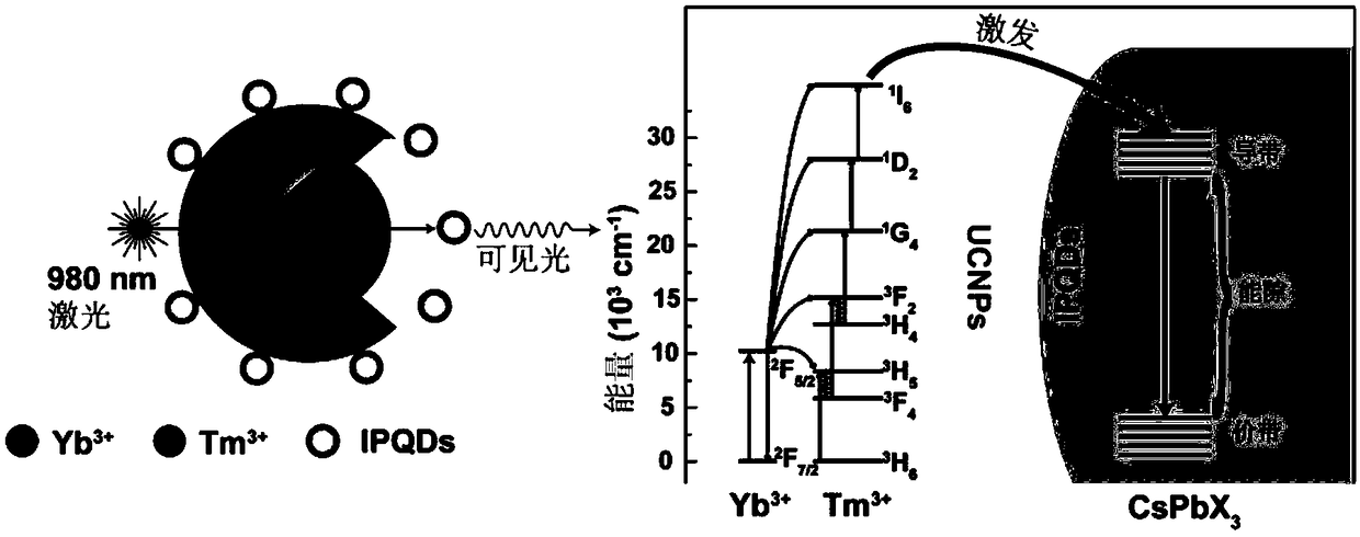 Anti-counterfeiting material and preparation method and application thereof