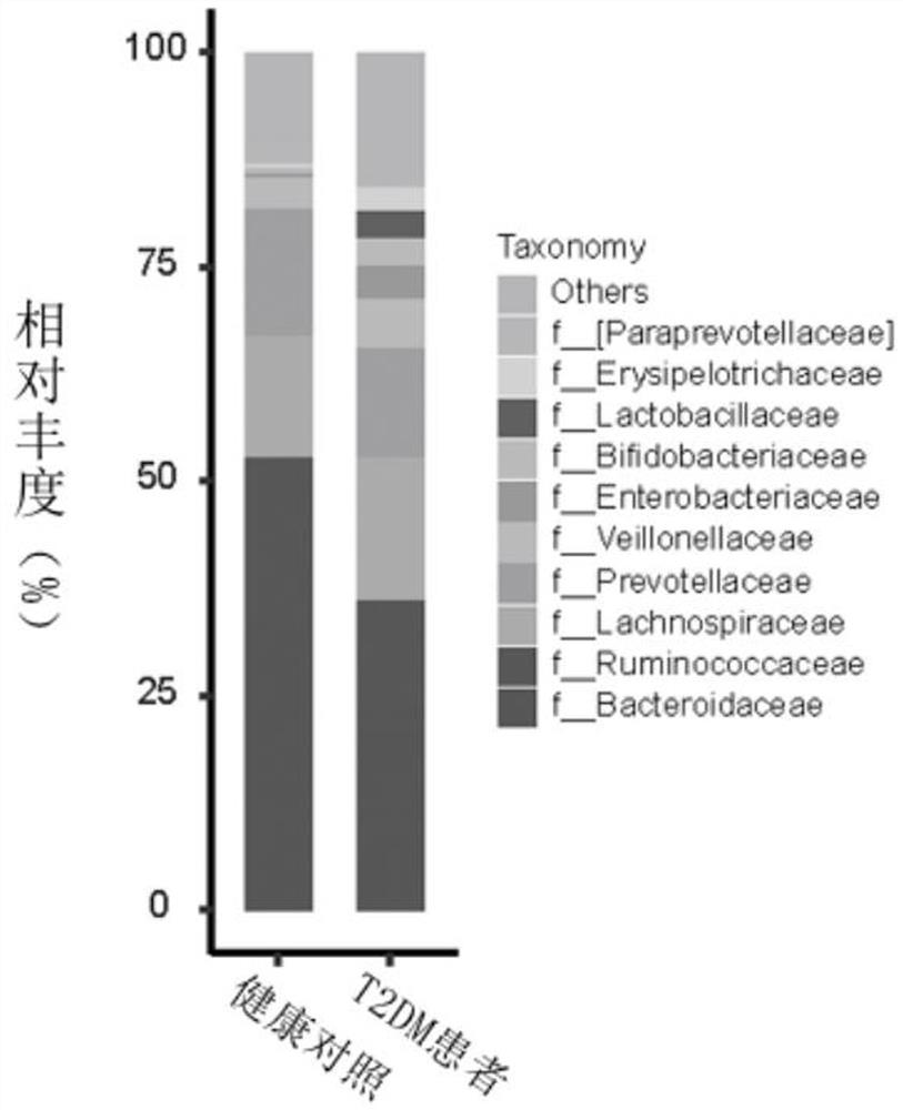 Microbial marker for evaluating fecal microbiota transplantation curative effect of type 2 diabetes mellitus patients and application thereof