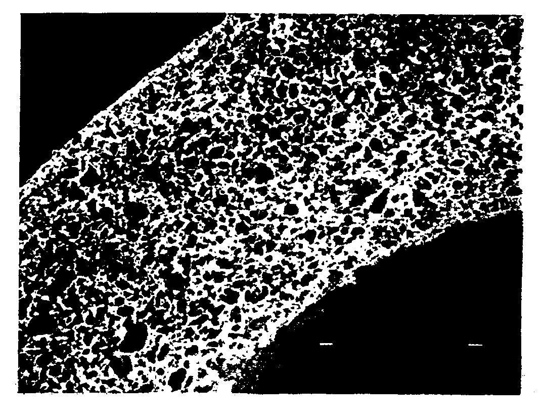 Porous hollow fiber membranes and method of making the same