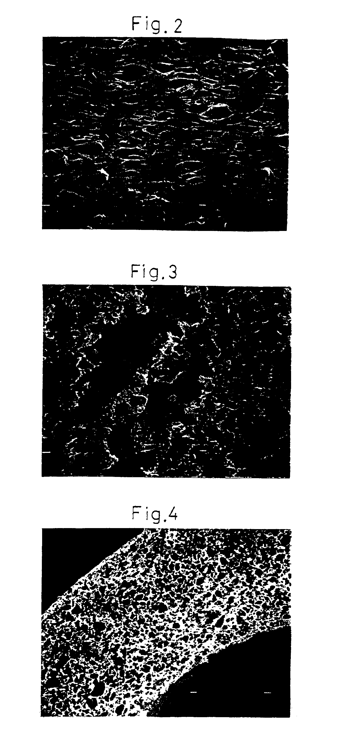 Porous hollow fiber membranes and method of making the same