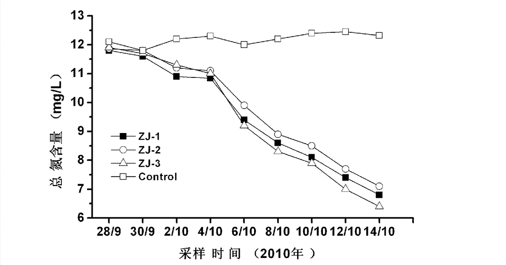 Microbe-enzyme composite preparation used for restoring water in urban and rural polluted river, and its preparation method