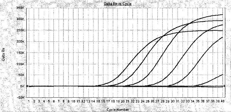 Kit for detecting human enteric viruses by real-time fluorescent quantitative PCR