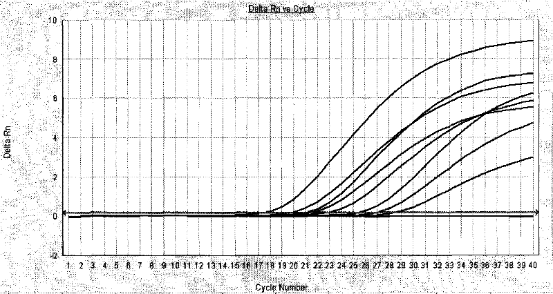 Kit for detecting human enteric viruses by real-time fluorescent quantitative PCR