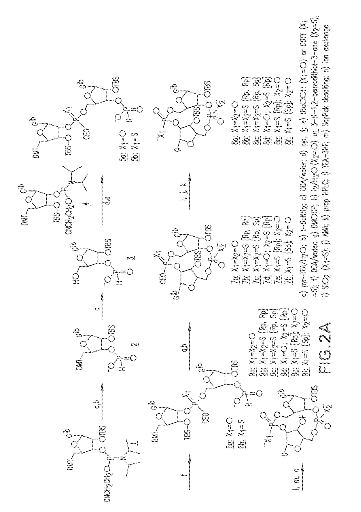 Compositions and methods for activating stimulator of interferon gene-dependent signalling