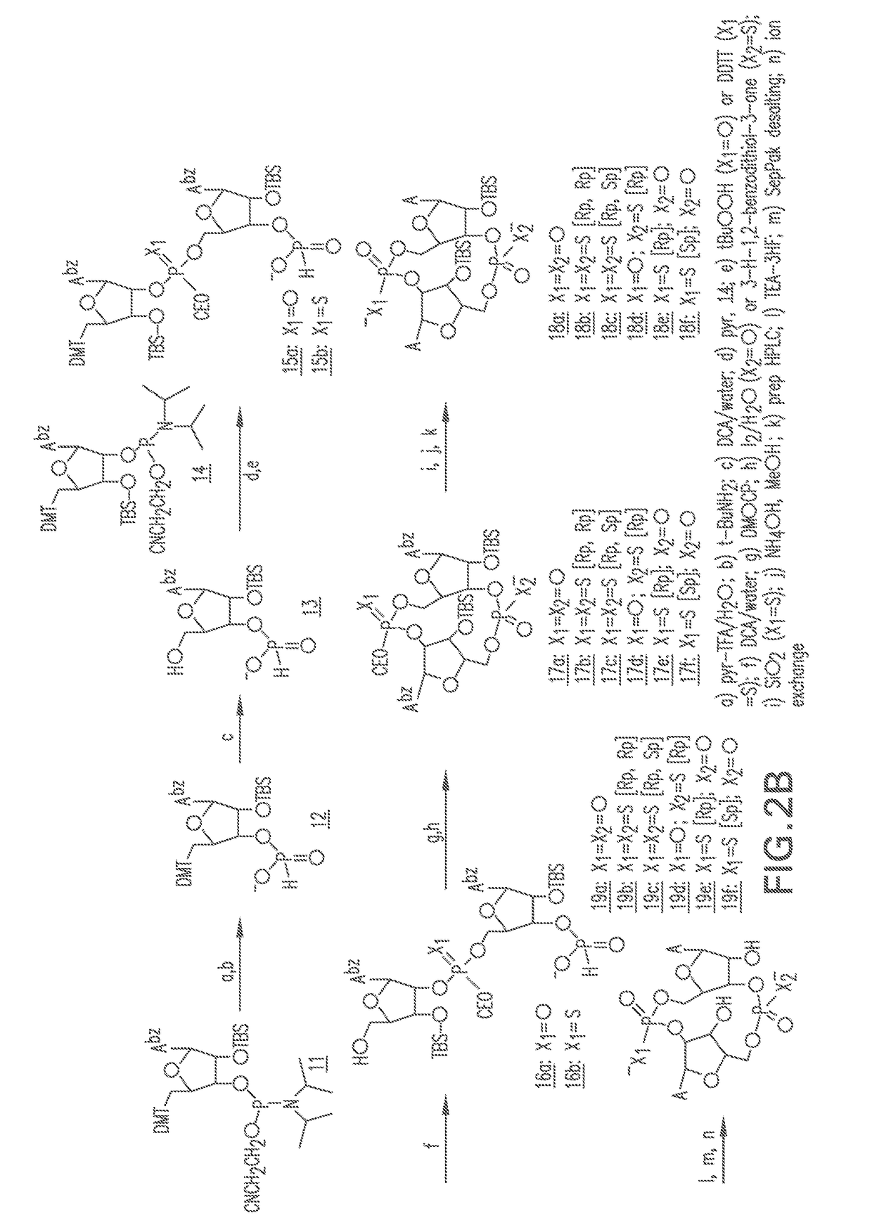 Compositions and methods for activating stimulator of interferon gene-dependent signalling