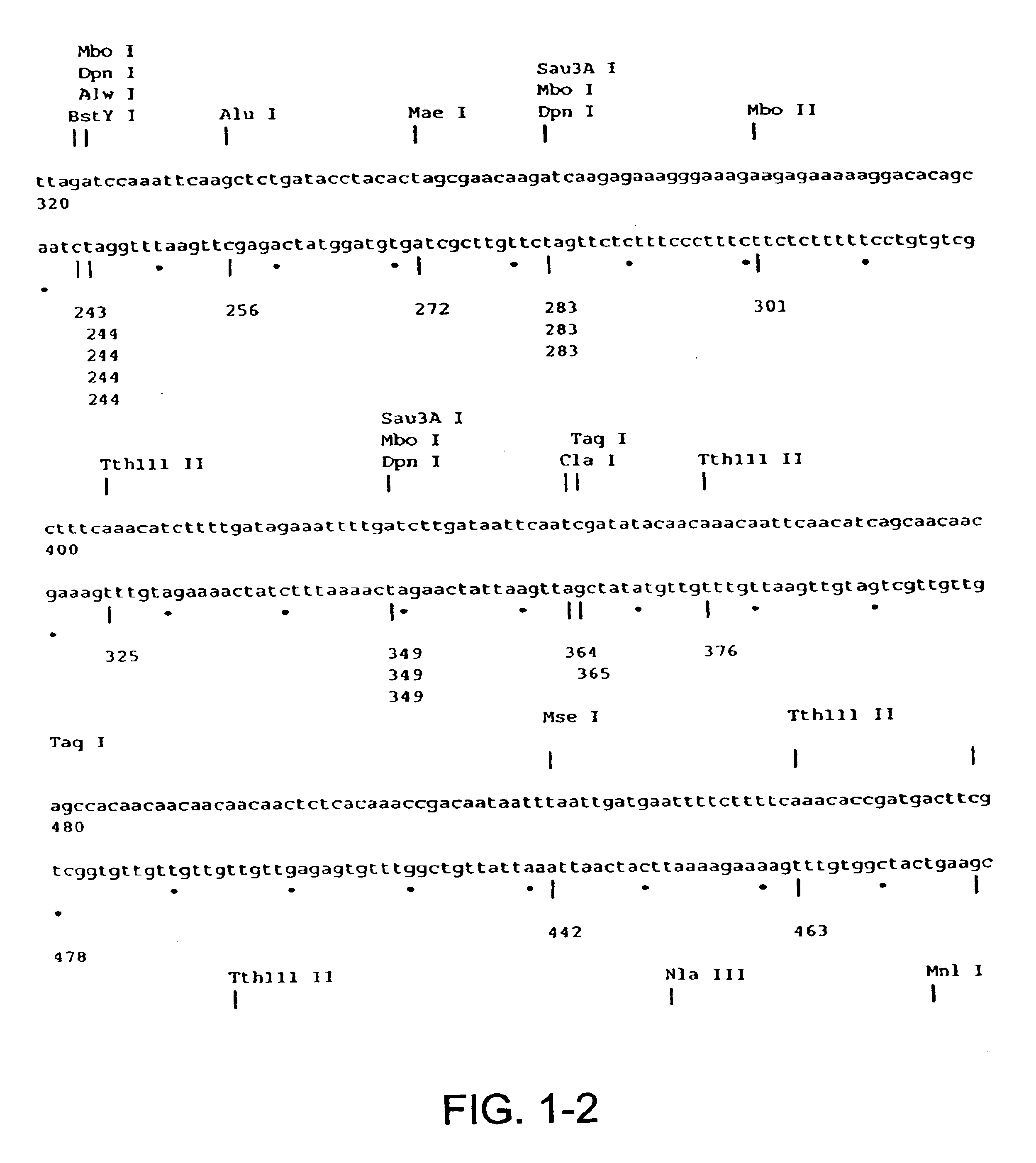 Chimeric cell-targeting pathogenic organism and method of therapeutic use