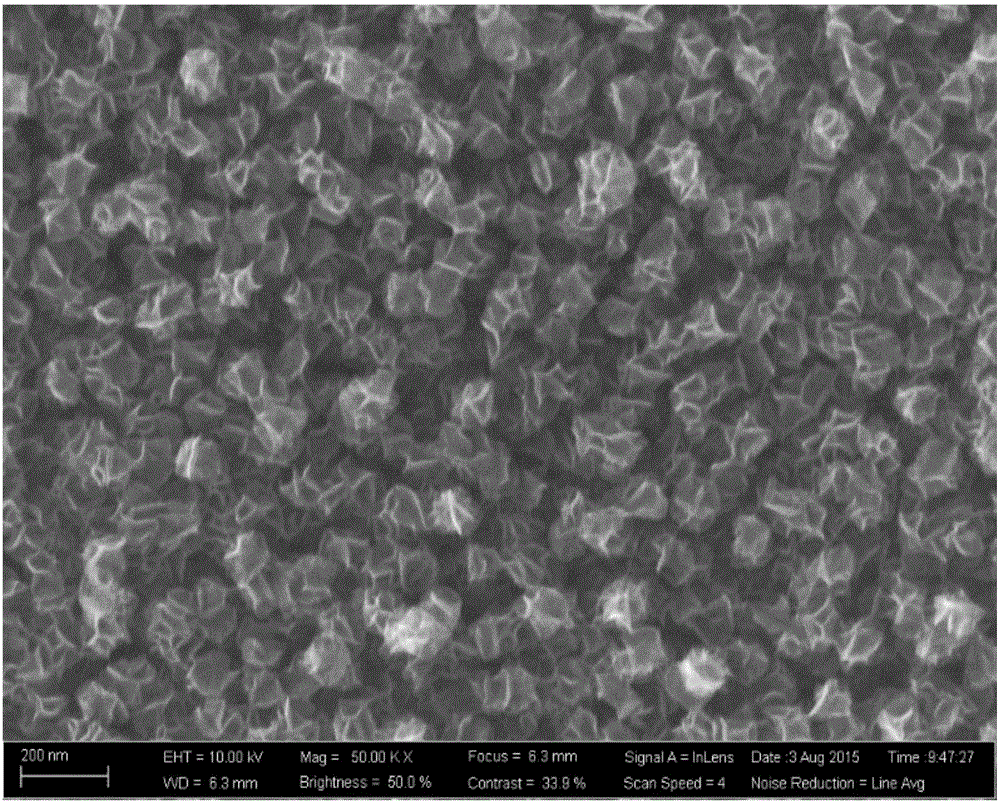 Preparation method of cobaltosic oxide/graphene three-dimensional mixed structure flexible electrode