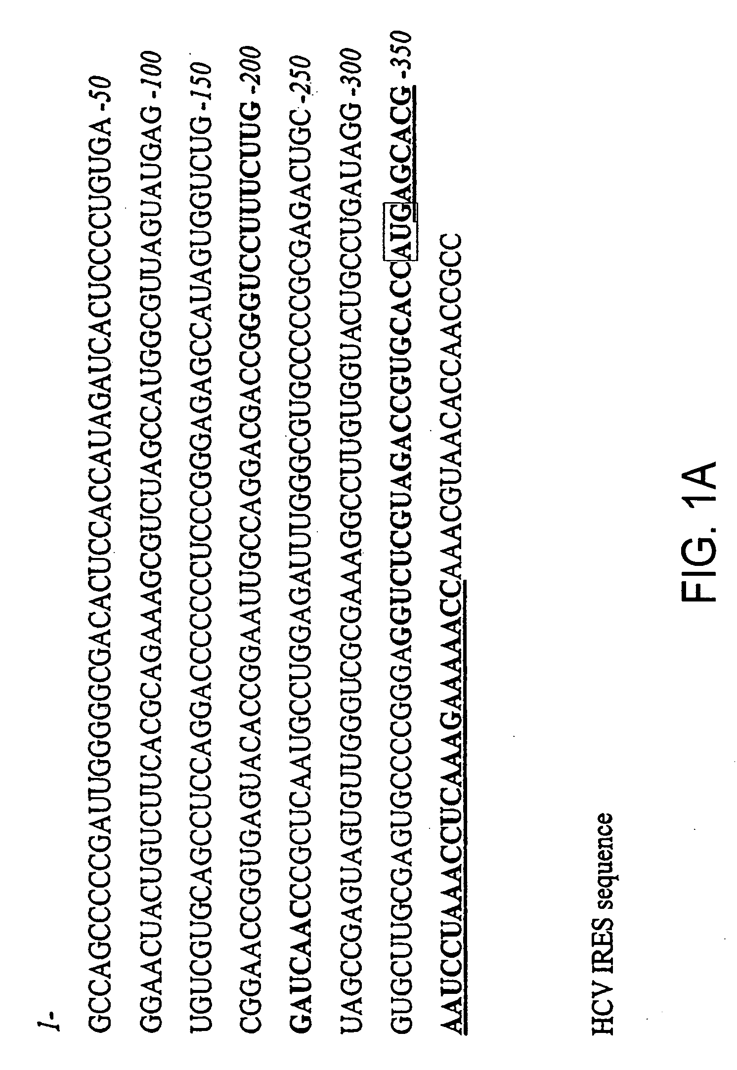 Inhibition of viral gene expression using small interfering RNA