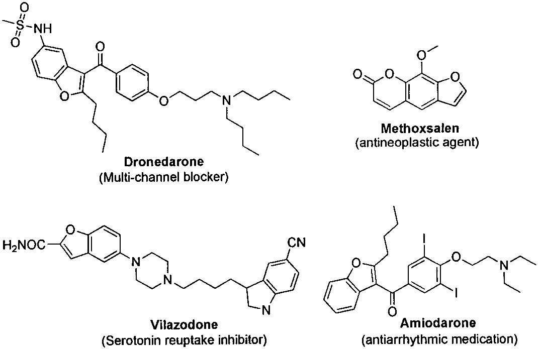 Method for synthesizing benzofuran derivative from phenol and alpha-haloketone