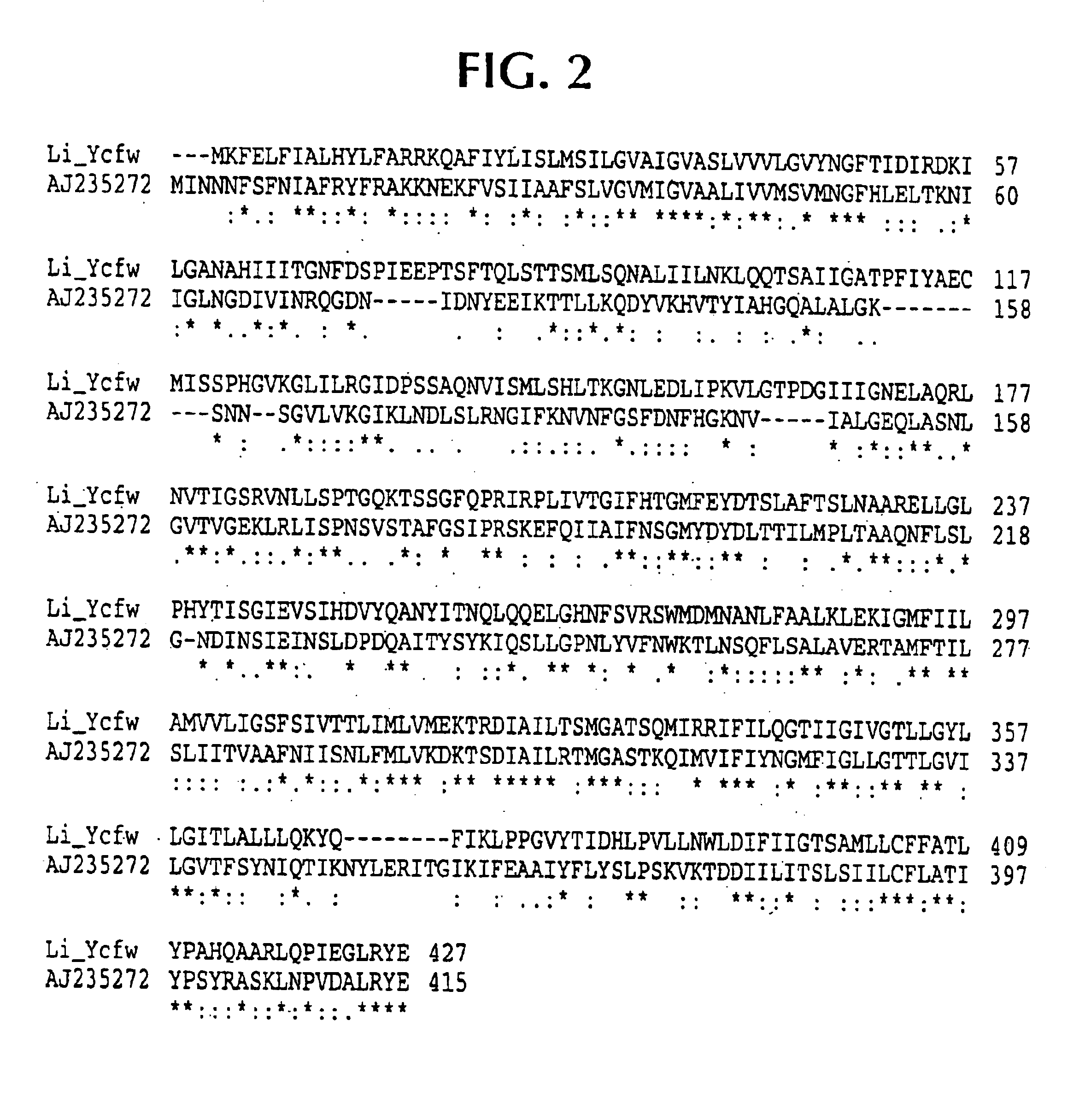 Lawsonia intracellularis proteins, and related methods and materials