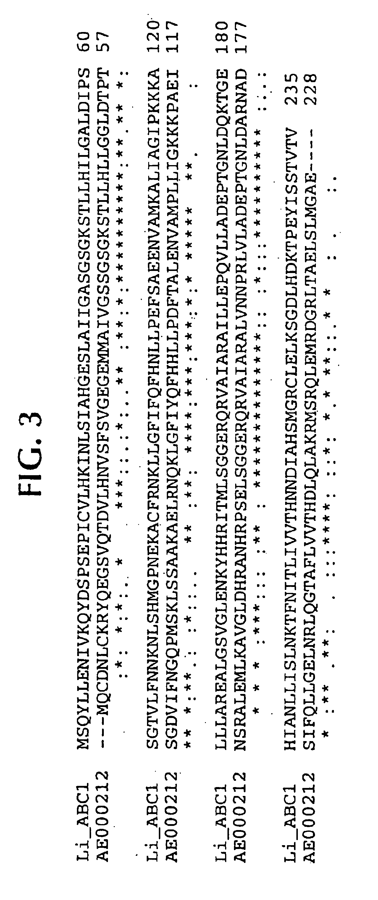 Lawsonia intracellularis proteins, and related methods and materials