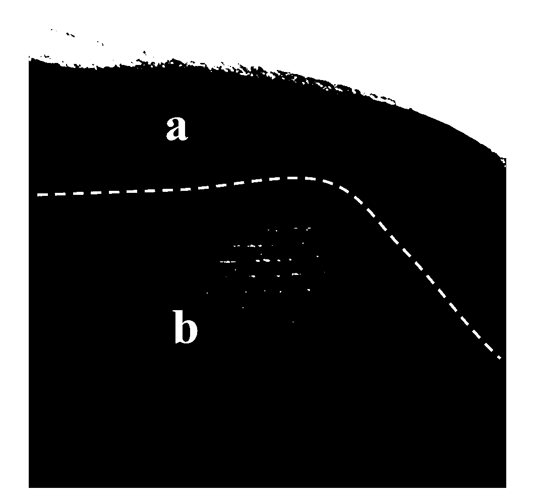 Lithium-sulfur battery cathode material capable of restricting polysulfide dissolution, electrode slice and battery