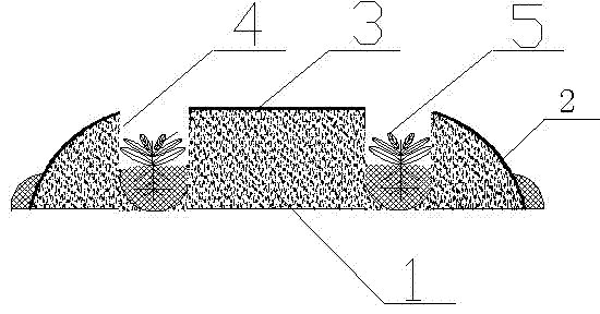 Covering method and structure for degradable film of flue-cured tobacco ridge culture