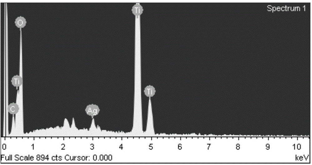 Precious metal loaded TiO2 nanorod photocatalyst preparation method