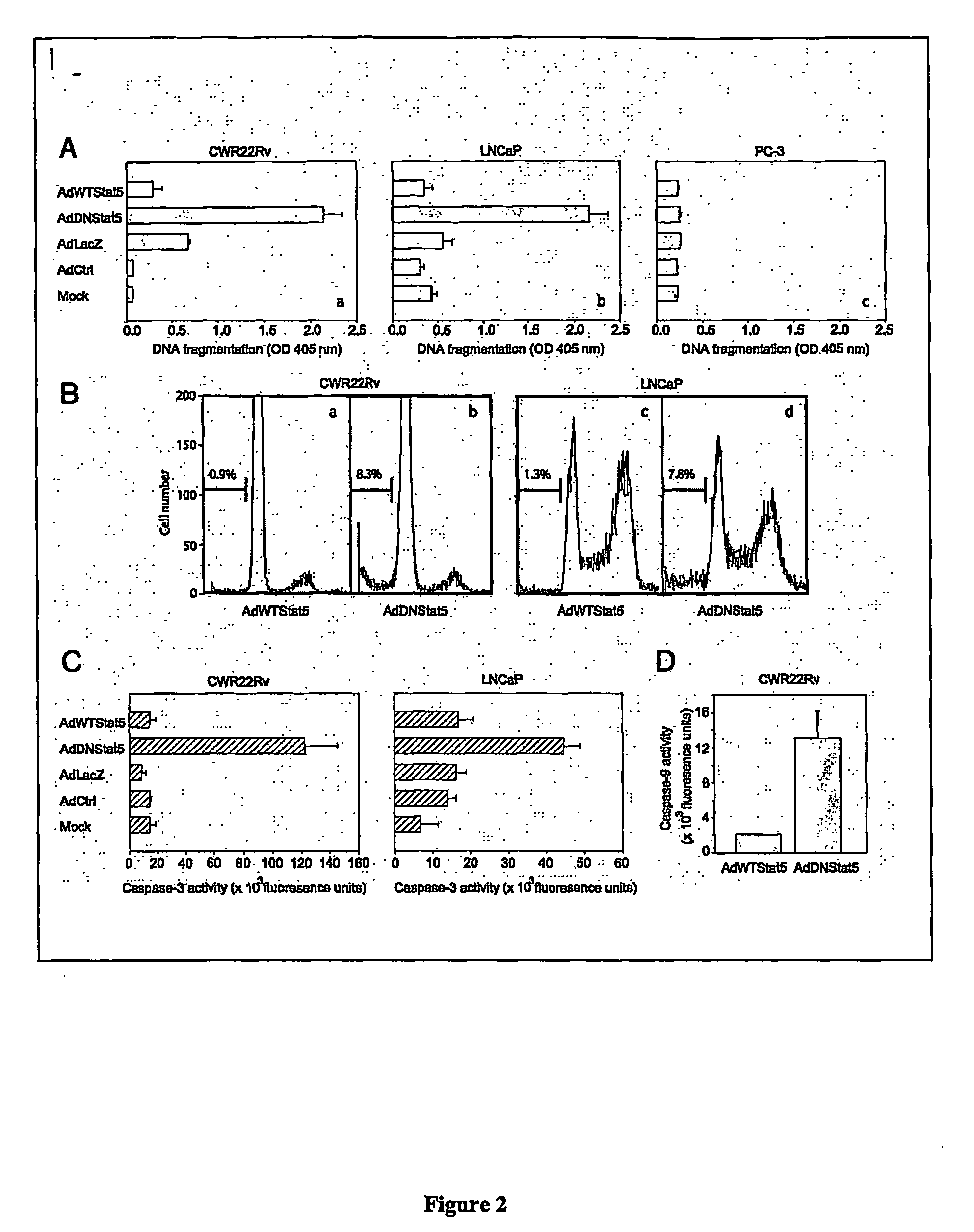 Methods and compositions for the inhibition of stat5 in prostate cancer cells