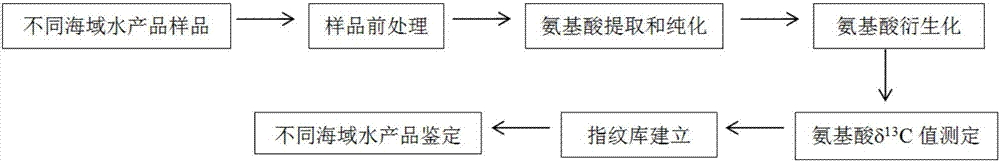 Method of tracing places of origin of aquatic products based on amino acid carbon stable isotopes