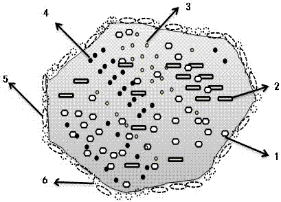 Biological filtering material for treating nitrate nitrogen in water