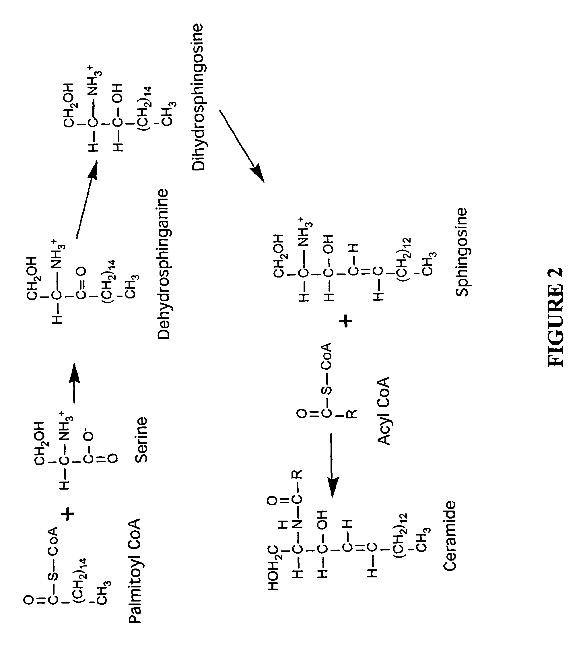 Compositions and methods for treating skin conditions