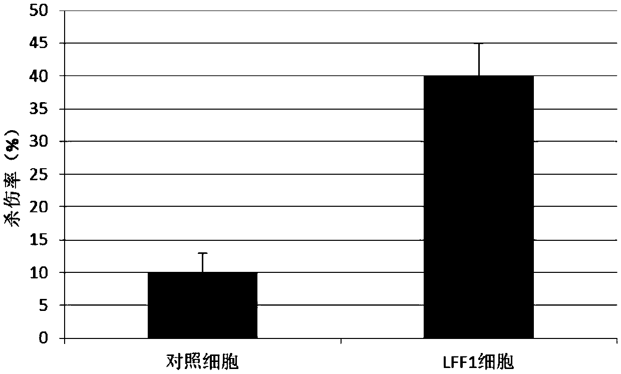 LFF1 cell