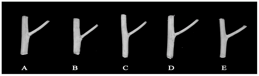 A method for high-throughput determination of plant type based on image processing