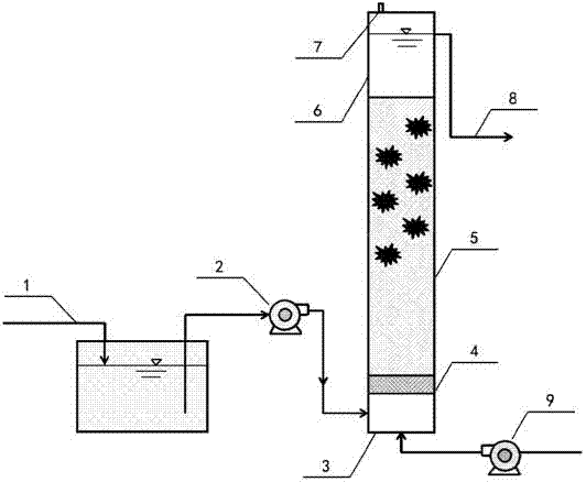 Denitrification dephosphorization device