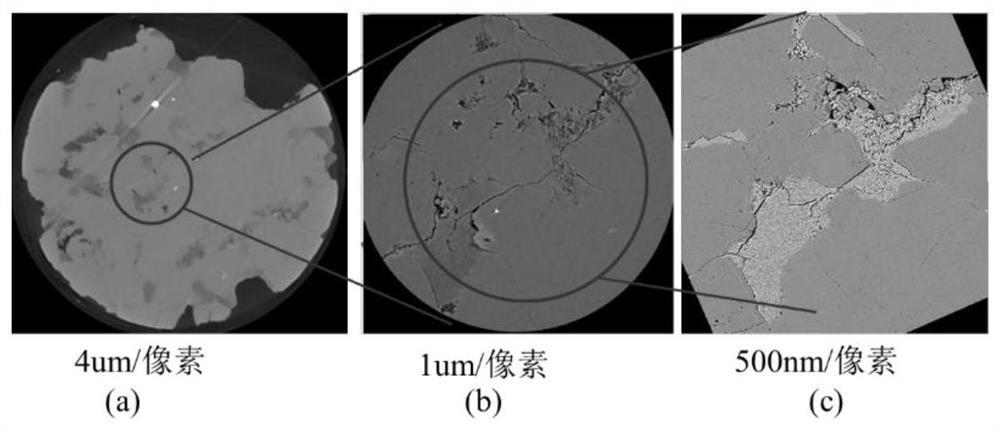 Unconventional reservoir multi-scale and multi-component digital rock core construction method