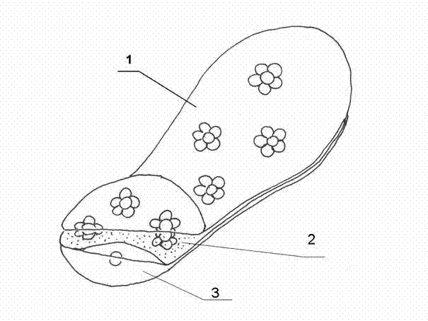 Health shoe pad with microbicidal effect