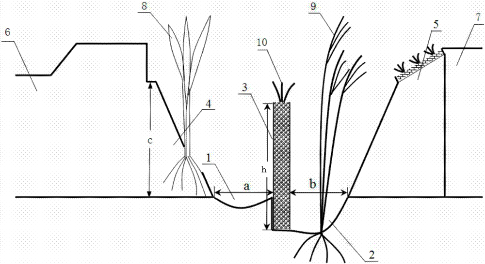 Integrated w-shaped farmland ecological retreat ditch