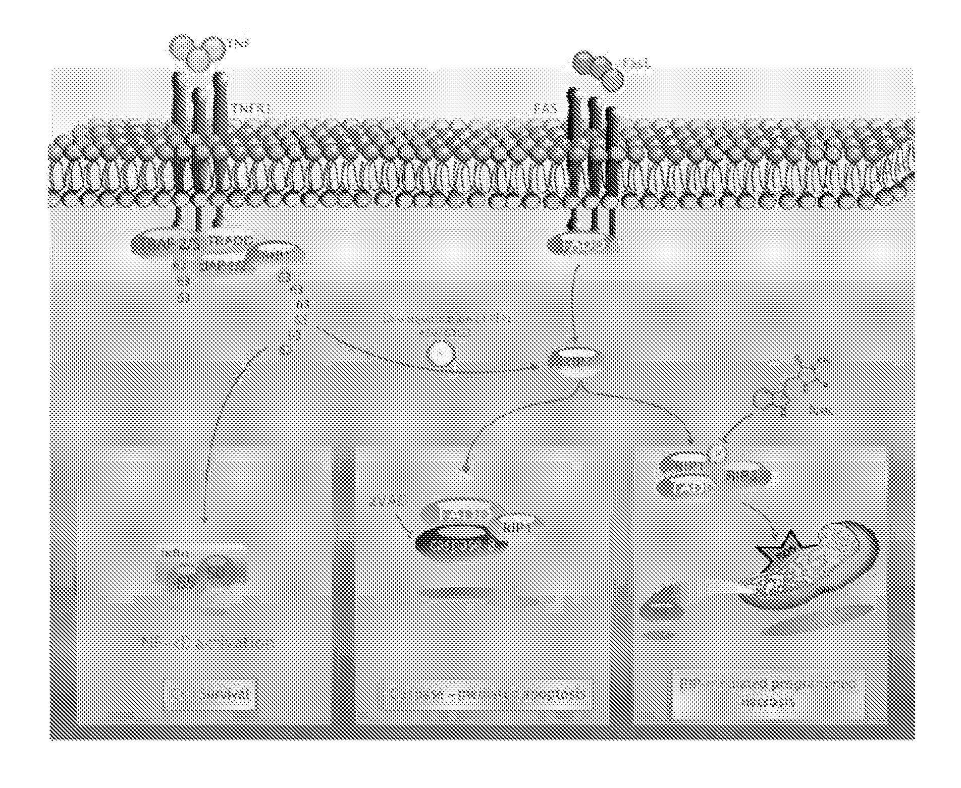 Methods and compositions for preserving photoreceptor and retinal pigment epithelial cells