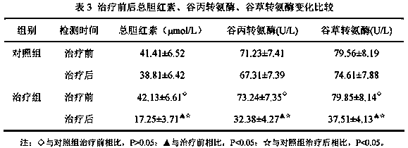 External patch for treating liver cirrhosis ascites and preparation method thereof