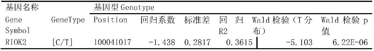 Red steppe cattle beef quality-related molecular marker and application thereof in meat quality identification