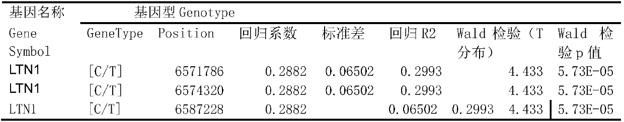 Red steppe cattle beef quality-related molecular marker and application thereof in meat quality identification