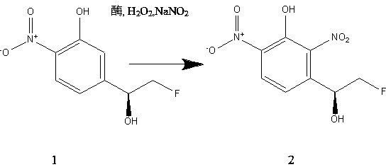 Method for preparing photoactive 2 nitrophenol through catalyzing by utilizing biological enzyme